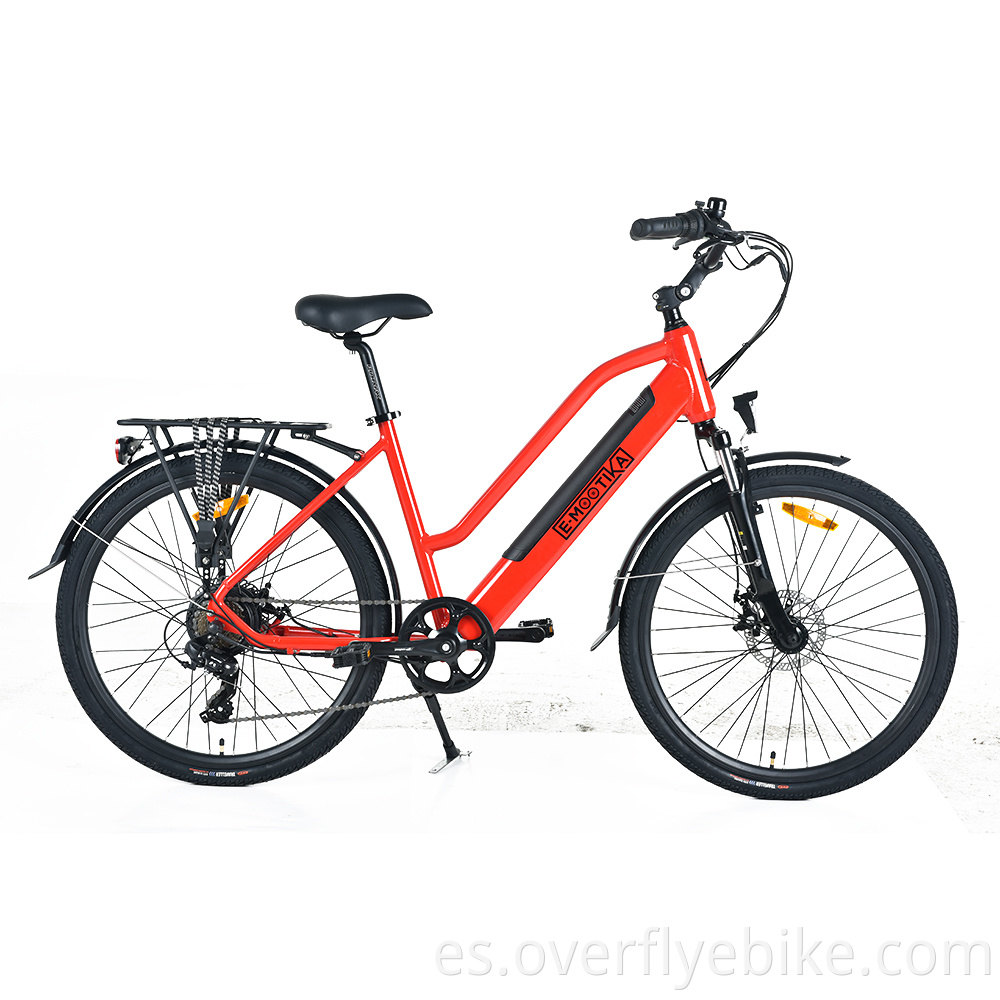 Trekking eBike